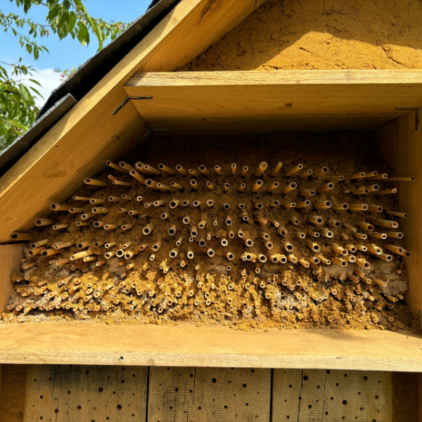 Wildbienenhotel - Bienenburg