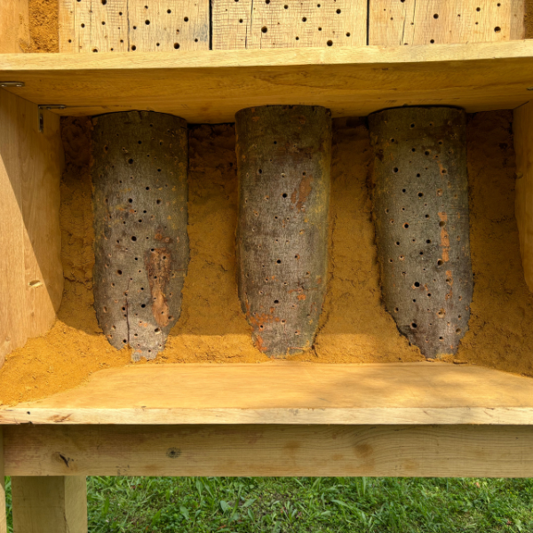 Insektenhotel Bienenburg