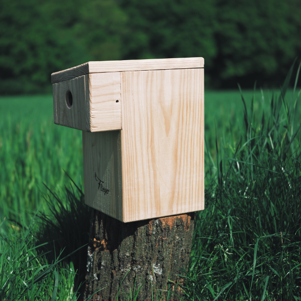Meisenkasten mit Marderschutz | 32mm Einflugloch | Lärchenholz